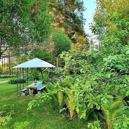 Toivonniemen Paltaniemi