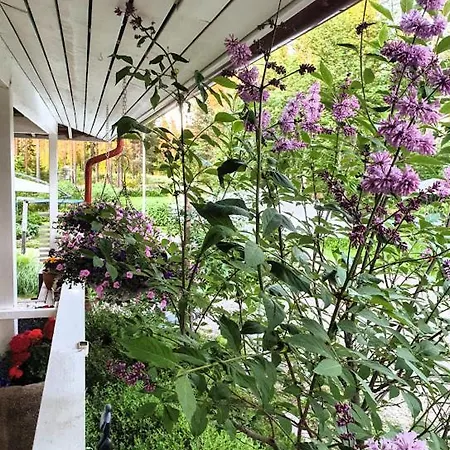 Toivonniemen Homestay szállás