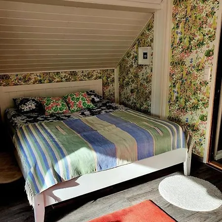 Toivonniemen Accommodatie bij particulieren Paltaniemi