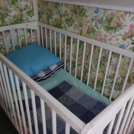 Toivonniemen Paltaniemi